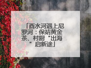 酉水河遇上尼罗河：保靖黄金茶、村厨“出海”启新途