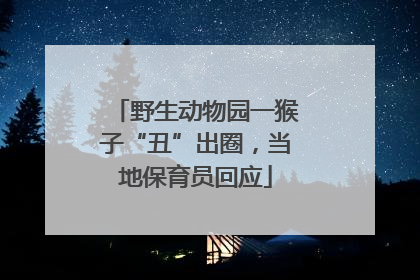 野生动物园一猴子“丑”出圈，当地保育员回应