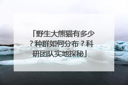 野生大熊猫有多少？种群如何分布？科研团队实地探秘