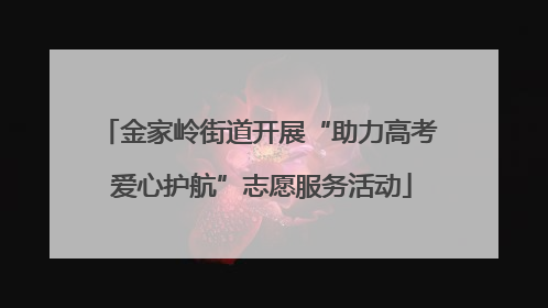 金家岭街道开展“助力高考 爱心护航”志愿服务活动