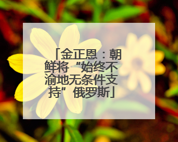 金正恩：朝鲜将“始终不渝地无条件支持”俄罗斯