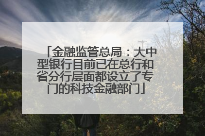 金融监管总局：大中型银行目前已在总行和省分行层面都设立了专门的科技金融部门