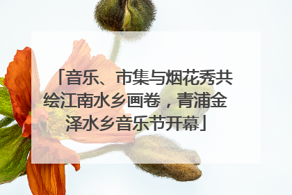 音乐、市集与烟花秀共绘江南水乡画卷，青浦金泽水乡音乐节开幕