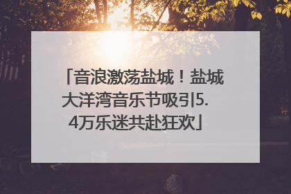 音浪激荡盐城！盐城大洋湾音乐节吸引5.4万乐迷共赴狂欢