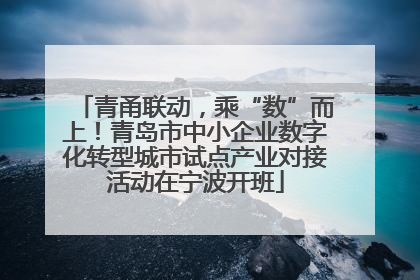 青甬联动，乘“数”而上！青岛市中小企业数字化转型城市试点产业对接活动在宁波开班