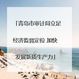 青岛市审计局立足经济监督定位 加快发展新质生产力