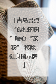 青岛景点“孤独的树”暖心“宠粉” 移除健身指示牌