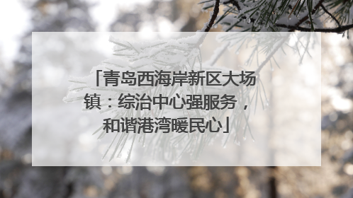 青岛西海岸新区大场镇：综治中心强服务，和谐港湾暖民心