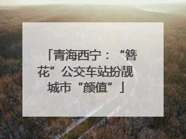 青海西宁：“簪花”公交车站扮靓城市“颜值”