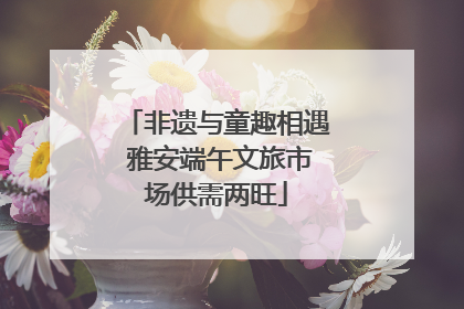 非遗与童趣相遇 雅安端午文旅市场供需两旺