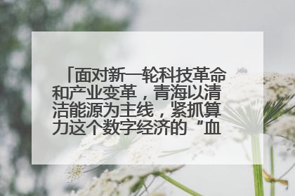 面对新一轮科技革命和产业变革，青海以清洁能源为主线，紧抓算力这个数字经济的“血液”、科技主权的“筹码”、产业升级的“杠杆”、绿色转型的“支点”，勇于撬动国家“双碳”战略、“东数西算”工程重大发展新机遇