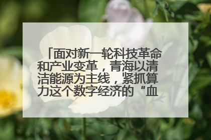 面对新一轮科技革命和产业变革,青海以清洁能源为主线,紧抓算力这个数字经济的“血液”、科技主权的“筹码”、产业升级的“杠杆”、绿色转型的“支点”,勇于撬动国家“双碳”战略、“东数西算”工程重大发展新机遇,点亮绿色算电协同新赛道,蹚出一条符合本地实际的高质量发展之路——青海:“绿色算力” 锚定“东数西算”国家战略布局