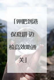 钾肥到港保夏耕 边检高效助通关
