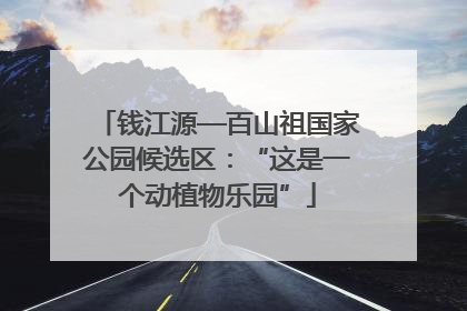 钱江源—百山祖国家公园候选区：“这是一个动植物乐园”