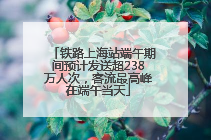 铁路上海站端午期间预计发送超238万人次，客流最高峰在端午当天
