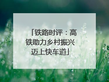 铁路时评：高铁助力乡村振兴迈上快车道