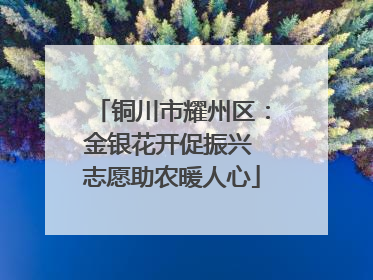 铜川市耀州区：金银花开促振兴 志愿助农暖人心