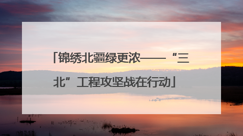 锦绣北疆绿更浓——“三北”工程攻坚战在行动