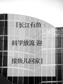 长江有鱼：科学放流 迎接鱼儿回家