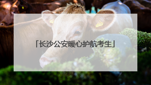 长沙公安暖心护航考生
