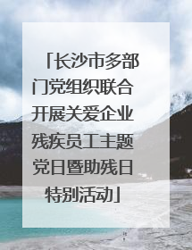 长沙市多部门党组织联合开展关爱企业残疾员工主题党日暨助残日特别活动