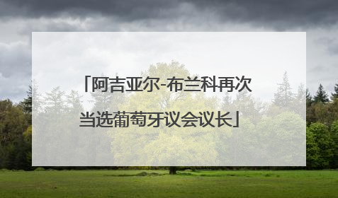 阿吉亚尔-布兰科再次当选葡萄牙议会议长