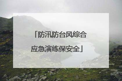 防汛防台风综合应急演练保安全