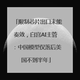限制芯片出口未能奏效，白宫AI主管：中国模型仅落后美国不到半年