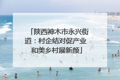 陕西神木市永兴街道：村企结对促产业 和美乡村展新颜