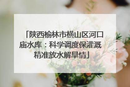 陕西榆林市横山区河口庙水库：科学调度保灌溉 精准放水解旱情