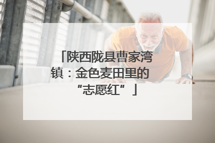 陕西陇县曹家湾镇：金色麦田里的“志愿红”