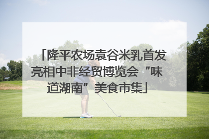 隆平农场袁谷米乳首发亮相中非经贸博览会“味道湖南”美食市集