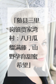 随县三里岗镇贾家湾村：八月瓜缀满藤，山野孕育甜蜜希望