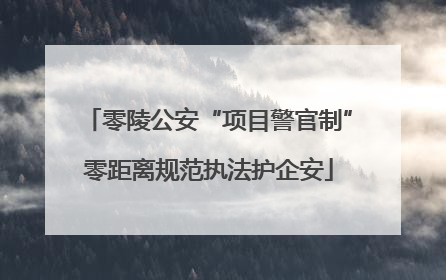 零陵公安“项目警官制”零距离规范执法护企安