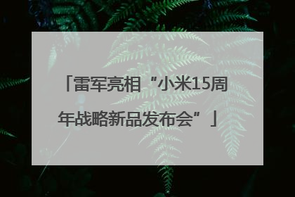 雷军亮相“小米15周年战略新品发布会”