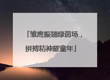 雏鹰振翅绿茵场，拼搏精神耀童年