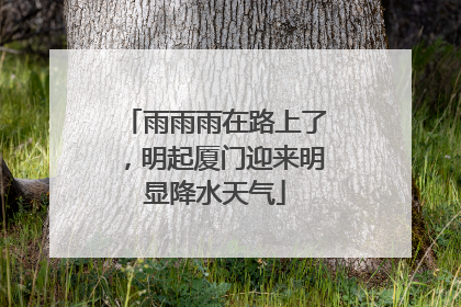 雨雨雨在路上了，明起厦门迎来明显降水天气
