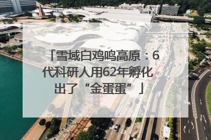 雪域白鸡鸣高原：6代科研人用62年孵化出了“金蛋蛋”