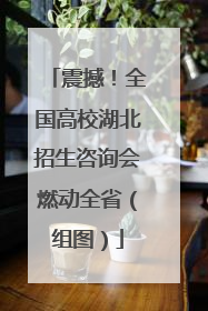 震撼！全国高校湖北招生咨询会燃动全省（组图）