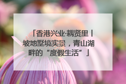 香港兴业·耦贤里丨坡地墅境实景，青山湖畔的“度假生活”