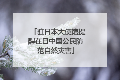 驻日本大使馆提醒在日中国公民防范自然灾害