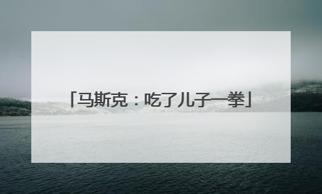 马斯克：吃了儿子一拳