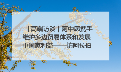 高端访谈｜阿中愿携手维护多边贸易体系和发展中国家利益——访阿拉伯议会议长亚马希