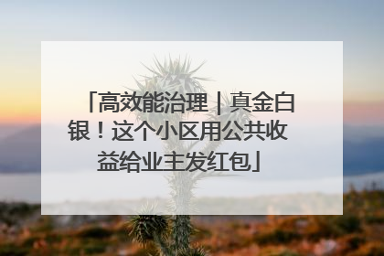 高效能治理｜真金白银！这个小区用公共收益给业主发红包