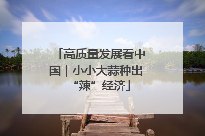 高质量发展看中国｜小小大蒜种出“辣”经济