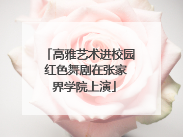 高雅艺术进校园 红色舞剧在张家界学院上演