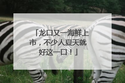 龙口又一海鲜上市，不少人夏天就好这一口！