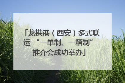 龙拱港（西安）多式联运 “一单制、一箱制” 推介会成功举办