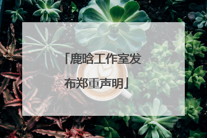 鹿晗工作室发布郑重声明