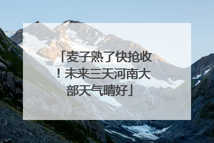 麦子熟了快抢收！未来三天河南大部天气晴好